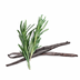 Vanilla Rosemary