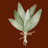 Dark Choc Sage Latte
