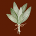Dark Choc Sage Latte