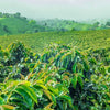 Guatemala